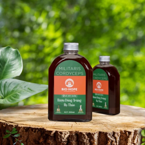 Rượu Đông Trùng Hạ Thảo