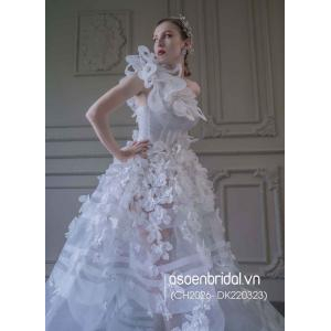 Kiểu dáng và váy dạ hội