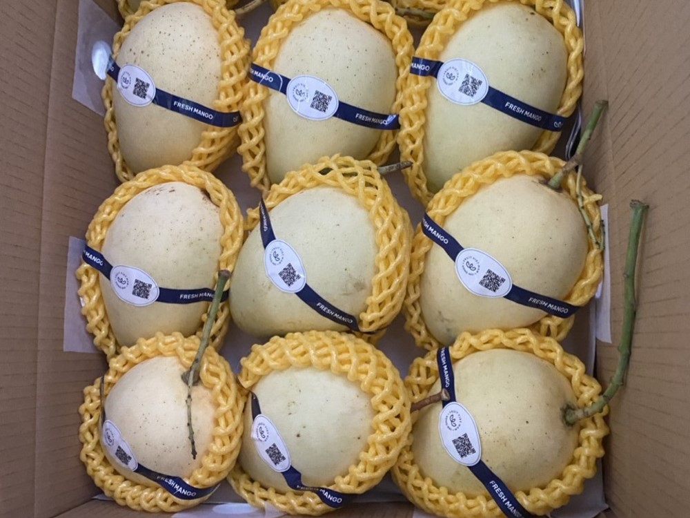 Cam kết từ chúng tôi