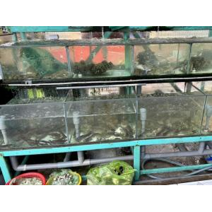 Hải Sản Làng Chài Hà Tiên