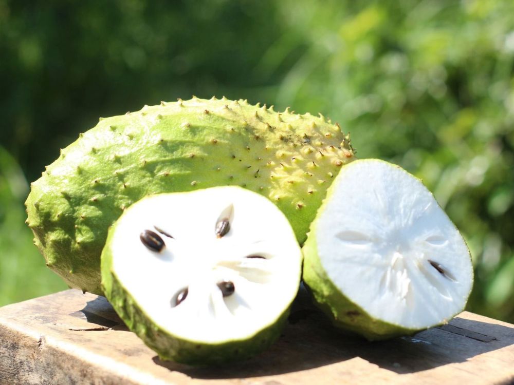 Mãng cầu Xiêm Tân Thuận Đông