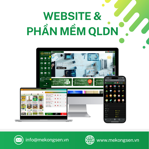 Website Eshop & Phần Mềm QLDN