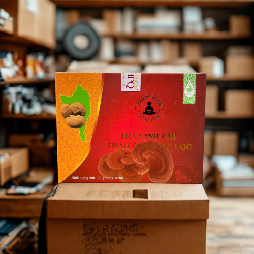Trà Linh Chi Thảo Dược Túi Lọc