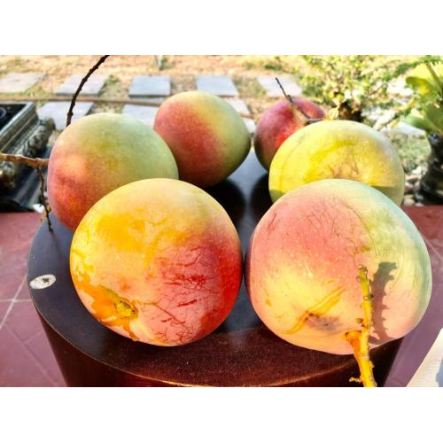 An Nhiên Homestay Hà Tiên