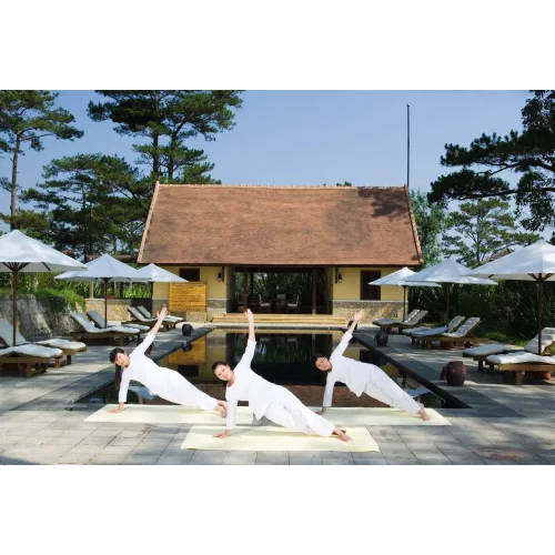 Thể Hình & Yoga