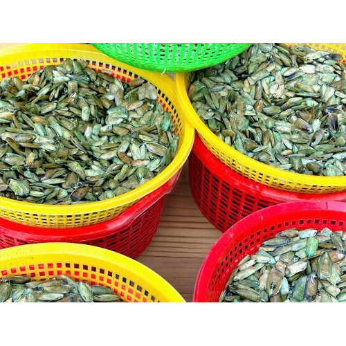 Hộ Kinh Doanh Ngô Tường Duy