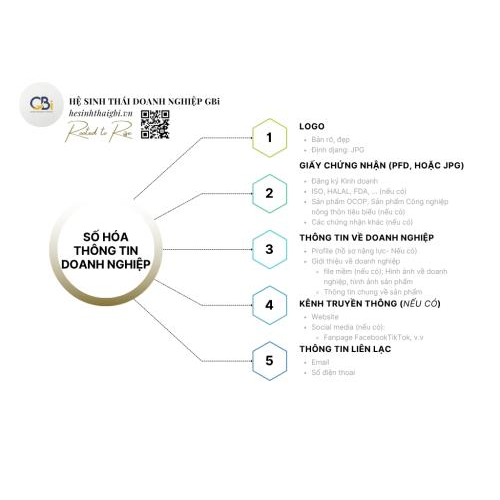 Số hóa thông tin doanh nghiệp: Day 11/40