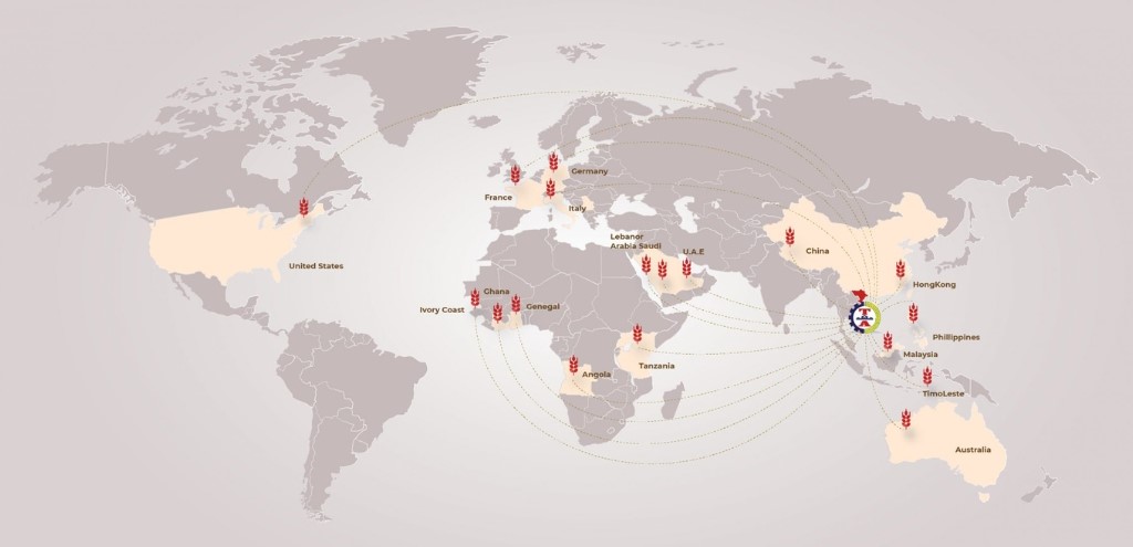 VI. Mạng lưới phân phối