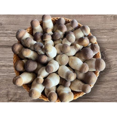 Trang Trại Nông Nghiệp Hiền Nương