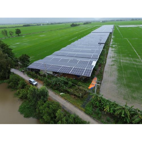 Hợp Tác Xã Nông Nghiệp Tà Đảnh