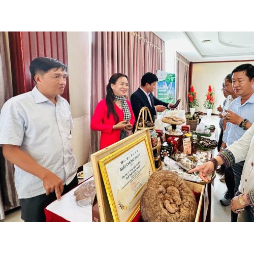 Hợp Tác Xã Nông Nghiệp Tà Đảnh