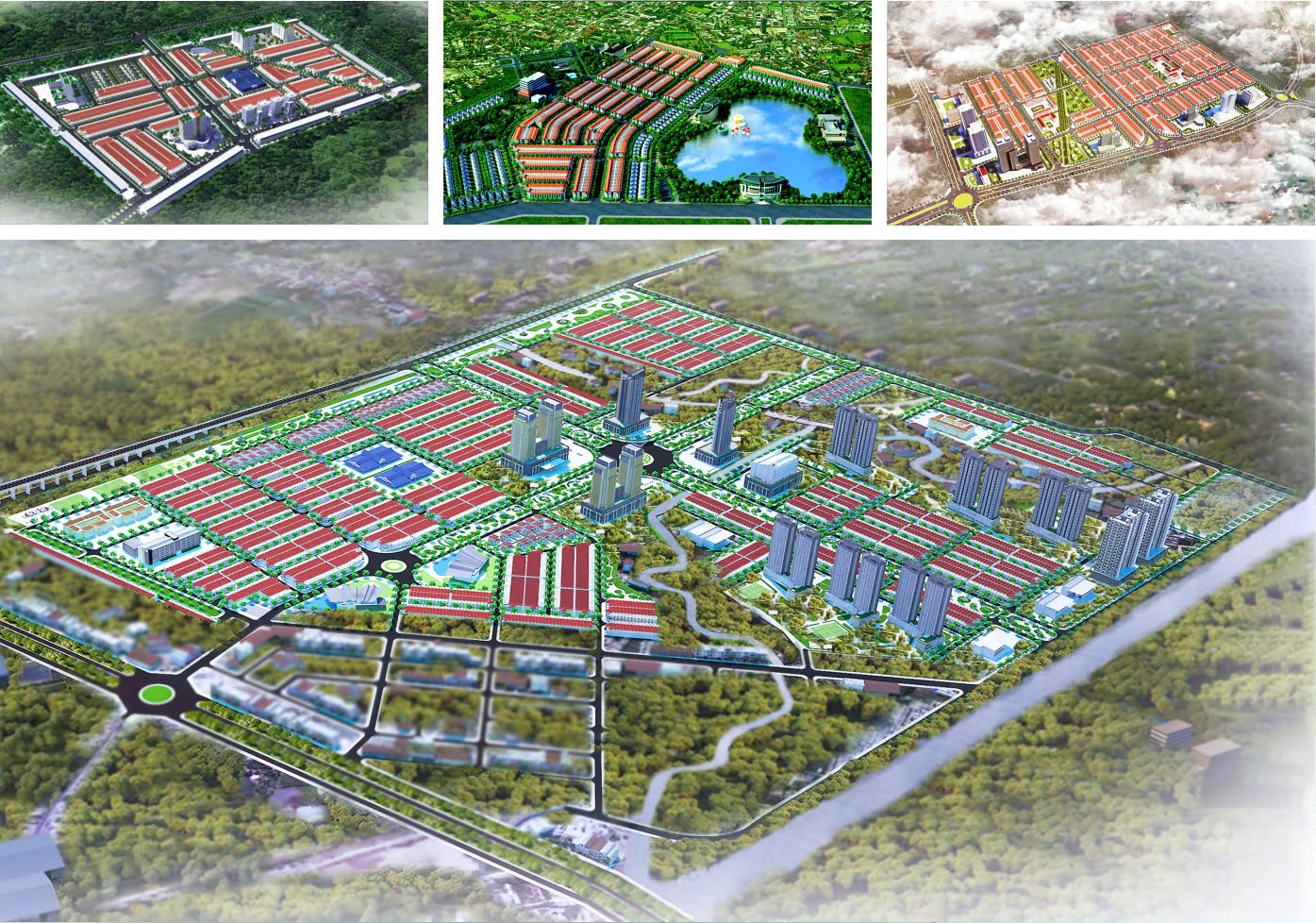 III. Lĩnh vực hoạt động