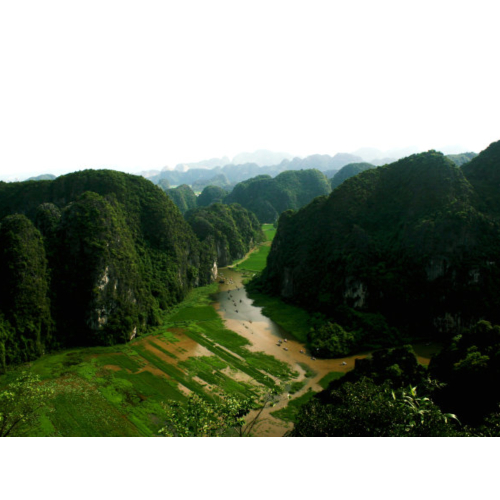 Lĩnh vực kinh doanh