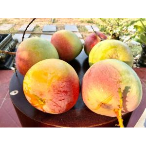 Phòng nghỉ tại An Nhiên Homestay