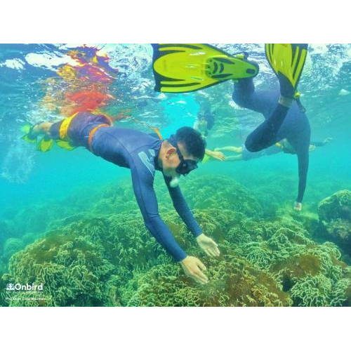 [hành trình ghép] – Khám phá san hô tự nhiên vùng lõi nam đảo phú quốc (tối đa 8 – 10 khách)