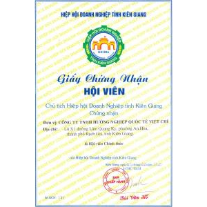 Công Ty TNHH Hướng Nghiệp Quốc tế Việt Chí