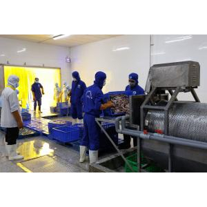 Công Ty CP Thủy Sản Tắc Cậu