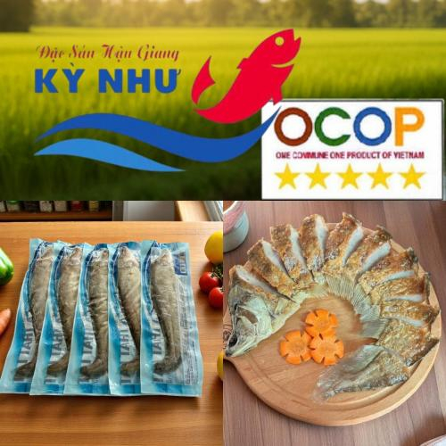 Sản Phẩm OCOP 5 Sao Từ Hợp Tác Xã Kỳ Như