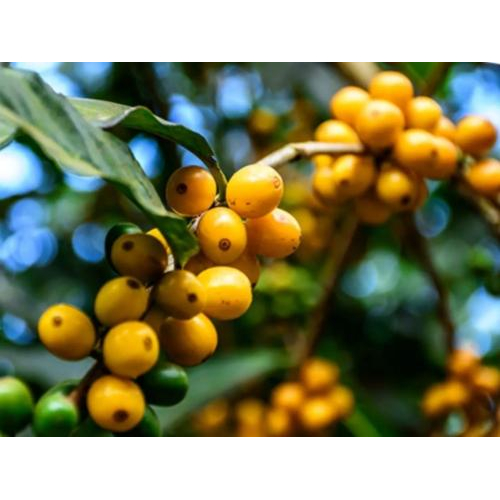 1. Dịch vụ kinh doanh & hỗ trợ bán lẻ, sỉ