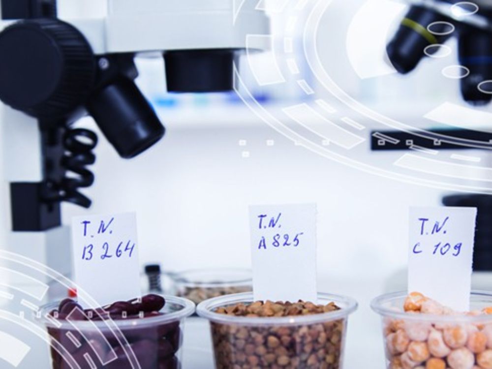 III. Cơ sở sản xuất