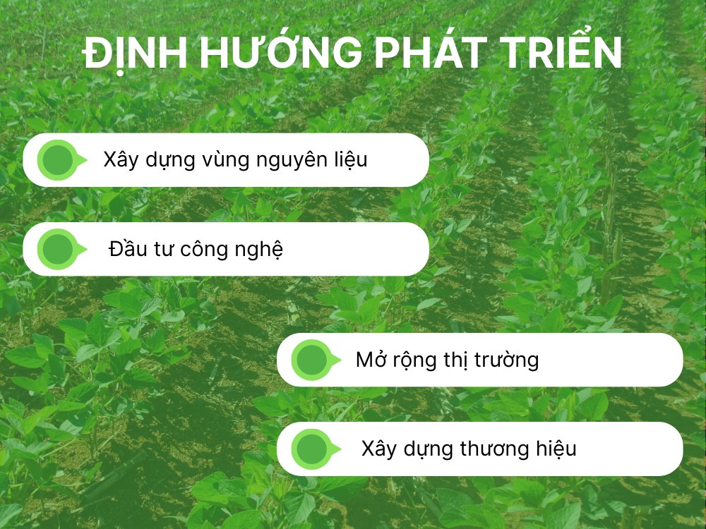 Định hướng phát triển