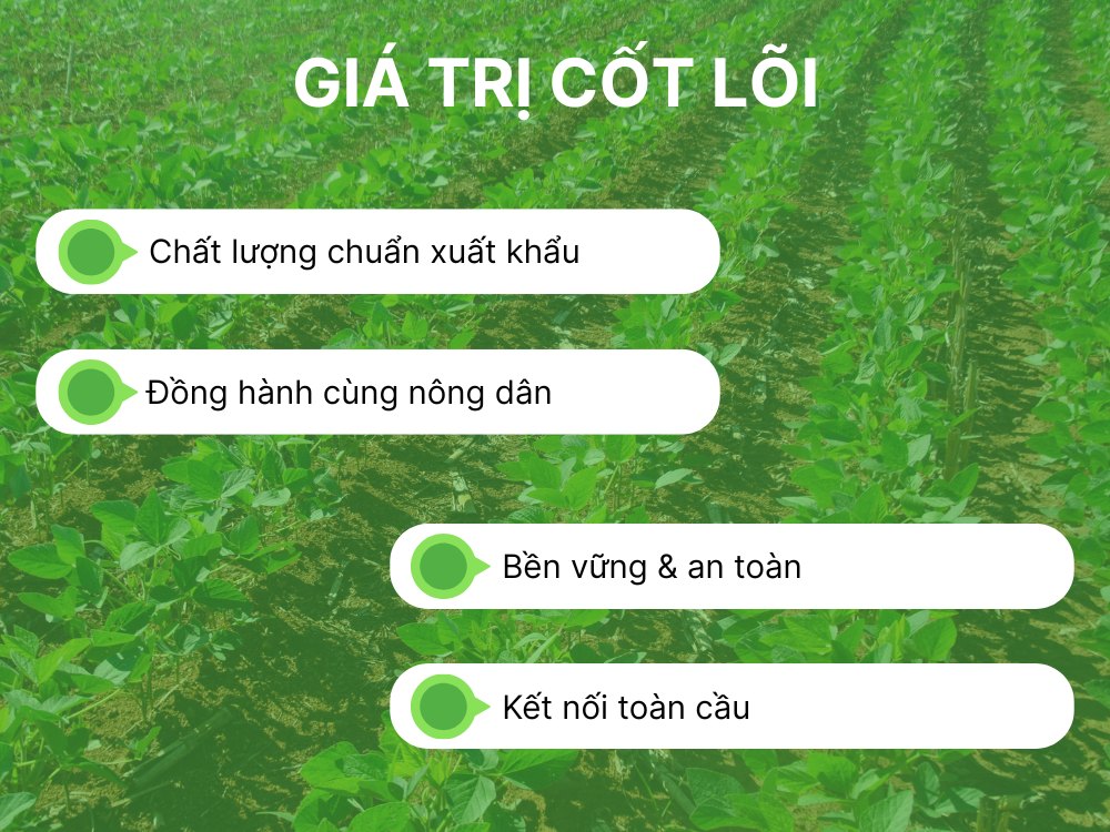 Giá trị cốt lõi