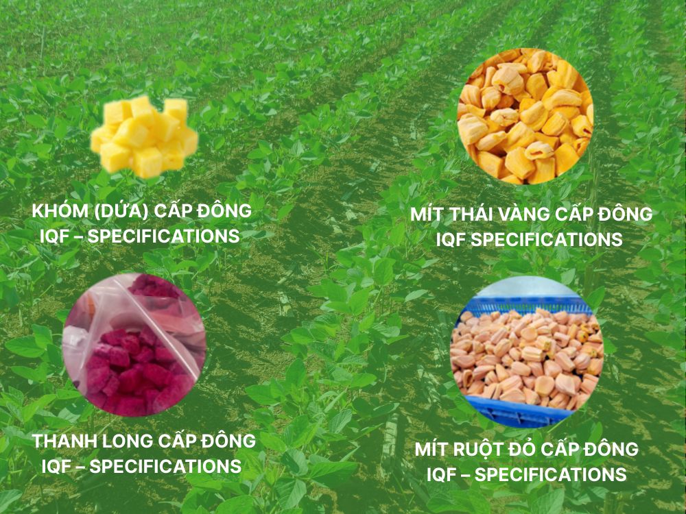 Sản phẩm trái cây cấp đông